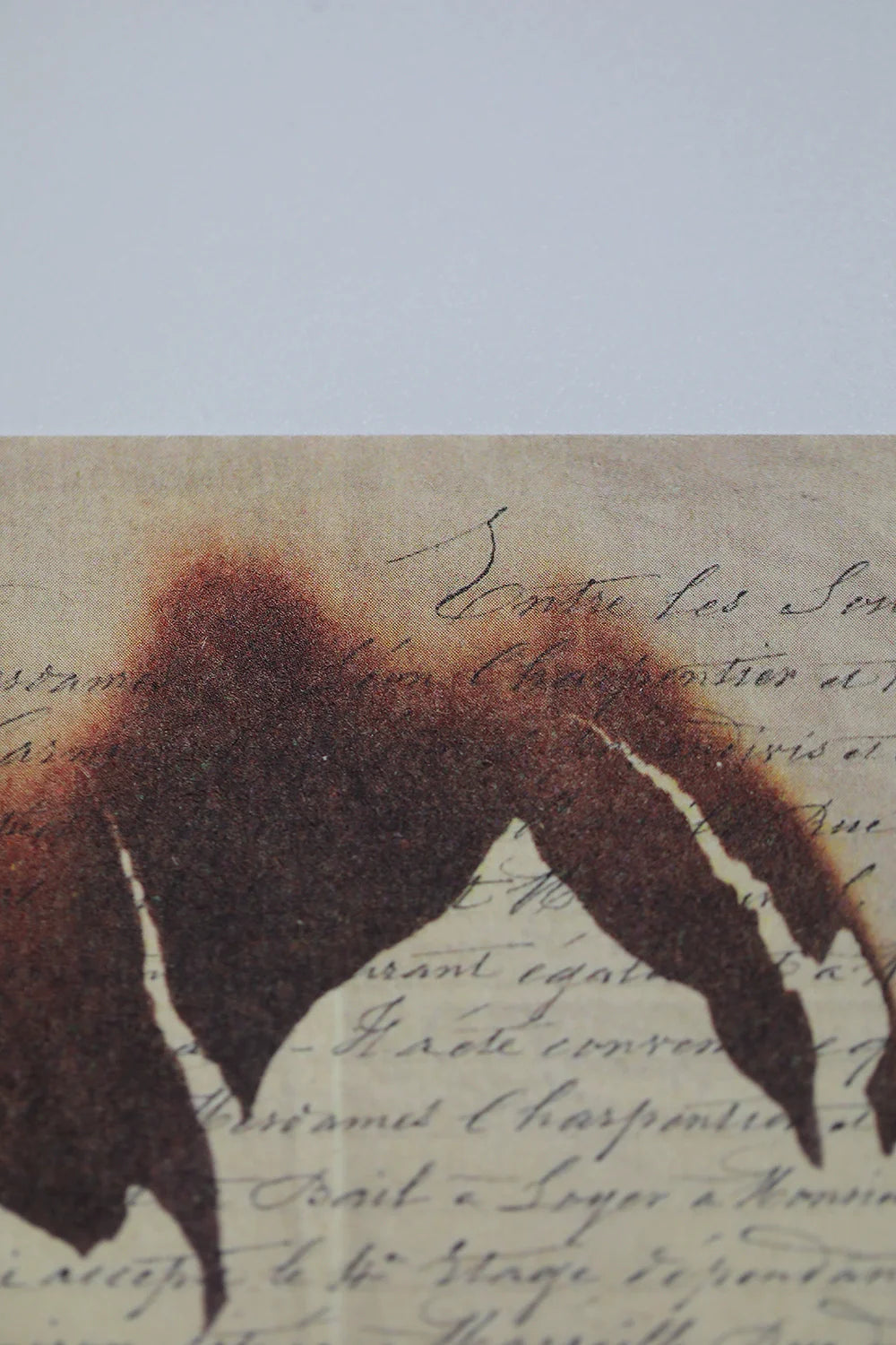NZdoll! Bored? Give Him Or Her a burning letter! Material paper